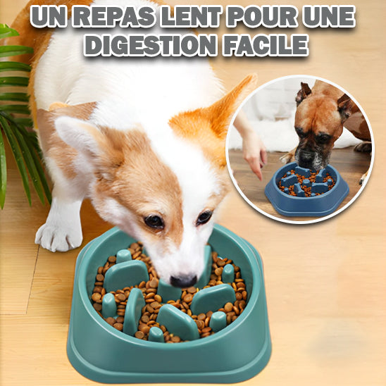 a Gamelle Anti-Glouton : La Solution Idéale pour Votre Chien Gourmand