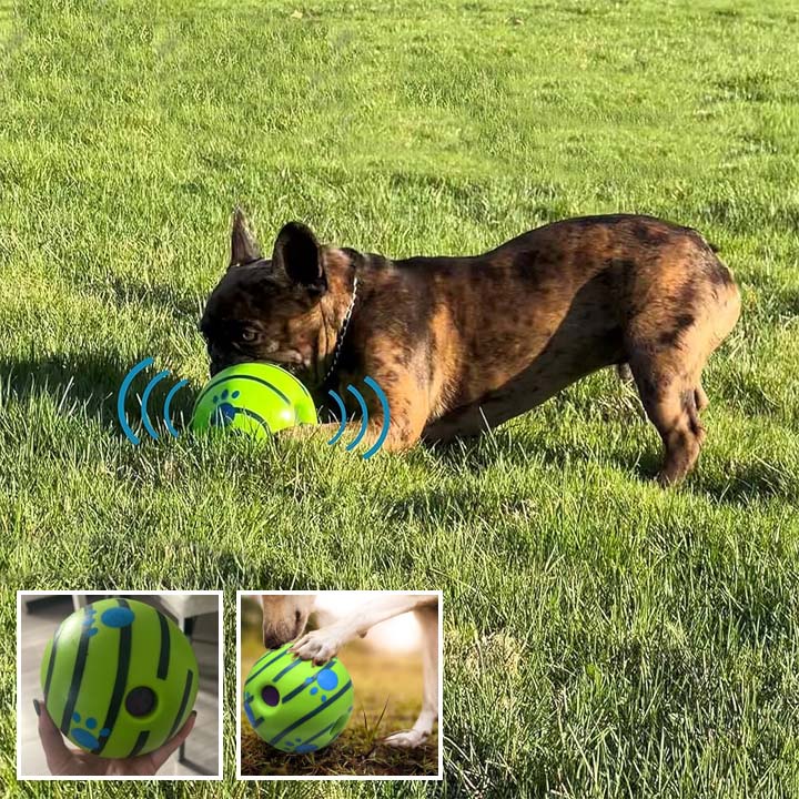 La Balle Interactive pour Chien - Univers des chiens