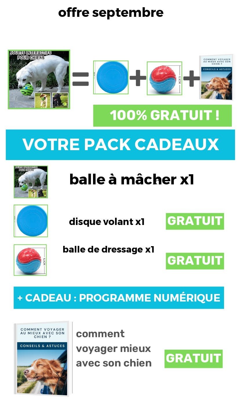 La Balle Interactive pour Chien - Univers des chiens