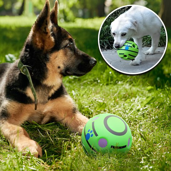 La Balle Interactive pour Chien - Univers des chiens