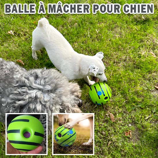 La Balle Interactive pour Chien - Univers des chiens