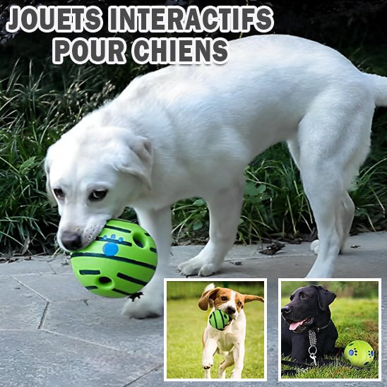 La Balle Interactive pour Chien - Univers des chiens