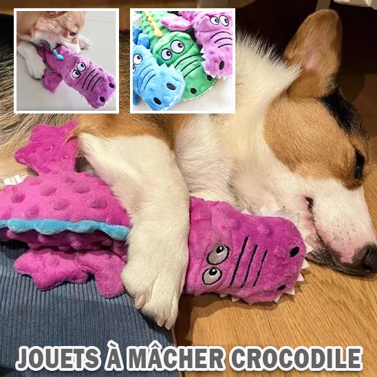 Peluche Crocodile pour chien - Univers des chiens