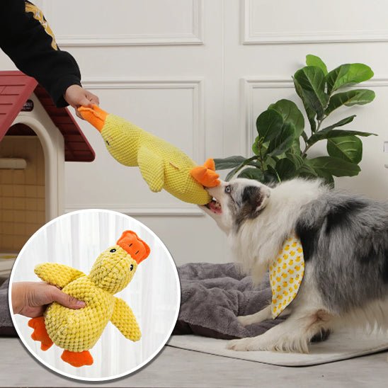 peluche pour chien - Univers des chiens