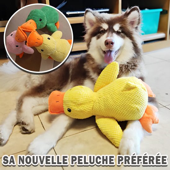 peluche pour chien - Univers des chiens