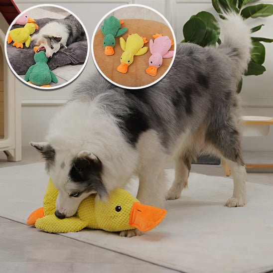 peluche pour chien - Univers des chiens