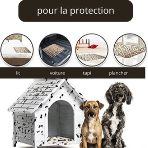 Tapis Apprentissage Lavable™ - Univers des chiens